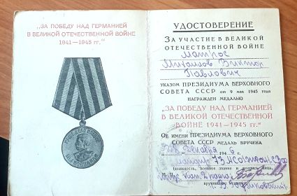 За победу над Германией