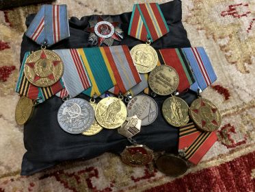 Медаль «За отвагу», медаль «За боевые заслуги»