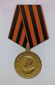 Медаль за Победу над Германией в ВОВ 1941-1945