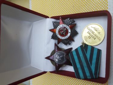 Орден Красной звезды, Орден Отечественной Войны II степени, Медаль "За взятие Кенигсберга"