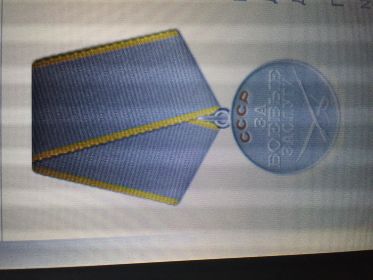 Медаль «За боевые заслуги» , Орден Отечественной войны 2 степени