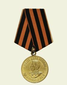 Медаль «За победу над Германией в Великой Отечественной 1941-1945гг.»