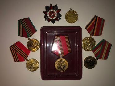 орден Великой Отечественной Войны, юбилейные медали ВОВ