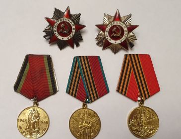 медалью «За Победу над Германией в Великой Отечественной Войне 1941 – 1945 гг.» (Указ Президиума Верховного Совета СССР от 9 мая 1945 года); орденами Отечествен...