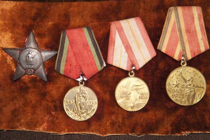 Орден Красной Звезды, медаль «За боевые заслуги», юбилейные медали.