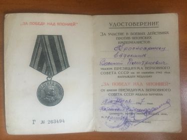 За  победу  над Японией (Г № 263494)