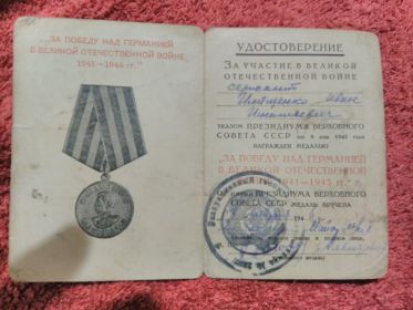 Медаль "За победу над Германией в Великой Отечественной войне 1941  - 1945"