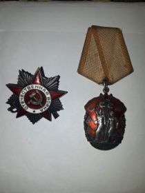 медаль за боевые заслуги, медаль за победу над Германией, орден знак почёта, орден ВОВ 2 степени
