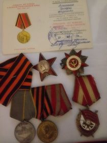 Орден Красного Знамени, Орден Красной Звезды, Медаль за Боевые заслуги, Медаль за Победу над Германией,
