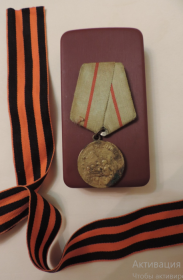 Медаль за Оборону Сталинграда