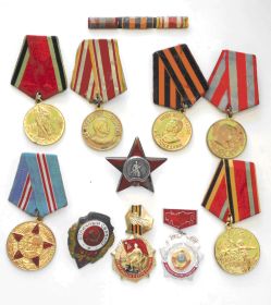 Орден "Красной Звезды" (1945), Медаль "за Победу над Германией" (1945), медаль "За победу над Японией" (1945), Юбилейная медаль "30 лет Сов. Армии и Флота" (194...