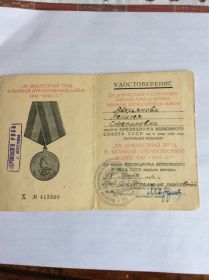 медалью «ЗА ДОБЛЕСТНЫЙ ТРУД В ВЕЛИКОЙ ОТЕЧЕСТВЕННОЙ ВОЙНЕ1941-1945 гг.».