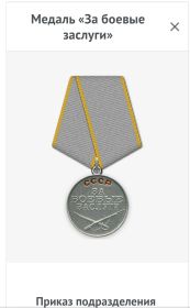Орденом"Красной Звезды", медаль"За боевые заслуги"