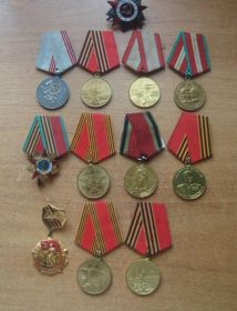 «Орден Отечественная война», «За Победу над Германией в Великой Отечественной войне 1941- 1945 гг.», и другими юбилейными медалями.