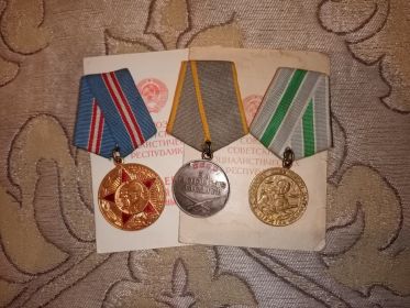 Медаль «За боевые заслуги», Медаль «За оборону Советского Заполярья», Орден Отечественной войны II степени