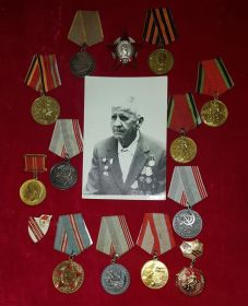 Орден "Красной Звезды", медаль"За боевые заслуги", медаль "За Победу над Германией"