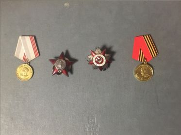Орден Красной Звезды 1945 год; Медаль за Победу над Германией 1945 год; Орден Отечественной Войны, II степени 1985 год.