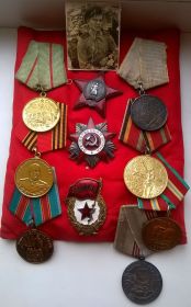 За оборону Сталинграда, орден Красной Звезды, медаль за боевые заслуги, медаль Жукова, орден Отечественной войны,