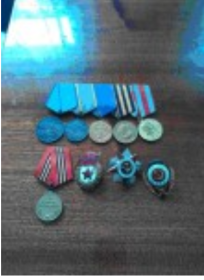Орден Красной звезды, медаль за отвагу, медаль за победу еад Германией, за взятие Берлина,за освобождение Праги, за боевые заслуги
