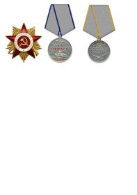 Ордена: Трудового Красного Знамени, «Отечественная война» I степени.  Медали: «За боевые заслуги», «За отвагу», «За освобождение Сталинграда», «За освобождение...
