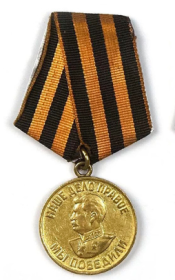 медаль «За победу над Германией В Великой Отечественной войне 1941-1945 гг.»