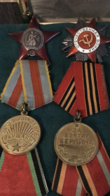 Медаль «За взятие Берлина»,  медаль « За освобождение Варшавы», медаль « За победу над Германией в Великой Отечественной войне 1941-1945гг.»