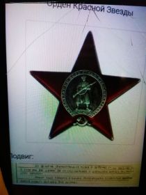 Медаль За оборону Сталинграда, За победу над Германией, Значёк участника Хасановских боев и Орден Красной Звезды.