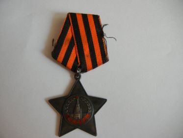 Два ордена Славы.  Медаль за освобождение Сталинграда и много других орденов.