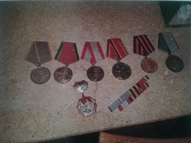 "За боевые заслуги", "За отвагу", "60 лет вооруженных сил СССР" и памятные медали