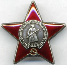 Орден Красной Звезды, №1305523 приказ №10/н от 3.10.1944