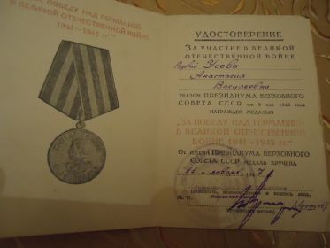 медаль за Победу над Германией