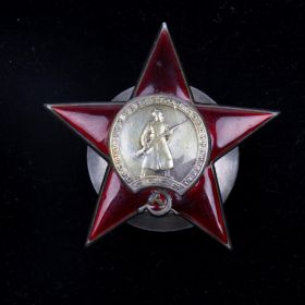 Орден Красной Звезды, медаль За Отвагу, медаль За Взятие Берлина, медаль За Победу над Германией
