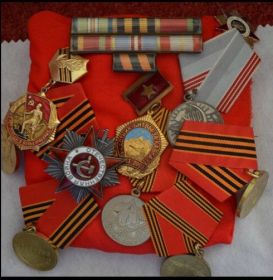 Орден Великой Отечественной Войны, медали "За победу над Германией", "За оборону Кавказа"