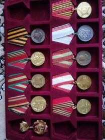 Орден Великой Отечественной Войны 1 степени, медаль за победу над Германией, а также Юбилейные медали