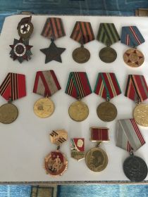 Награждён орденами: "Отечественной войны", "Славы" III степени, медалью "За взятие Кенигсберга" и другими юбилейными наградами.