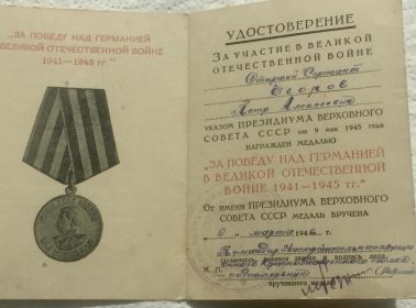 Медаль «за Победу над Германией Великой Отечественной Войне 1941-1945 гг.»