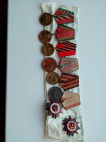 орден отечественной войны 2 ст., орден славы 3 ст., медаль за победу над Германией, медаль за отвагу