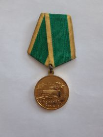 Медаль за Освоение целинных земель