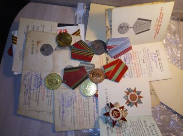 Медаль за взятие Вены,За освобождение Праги,За взятие Будапешта.Орден Отечественной войны второй степени.