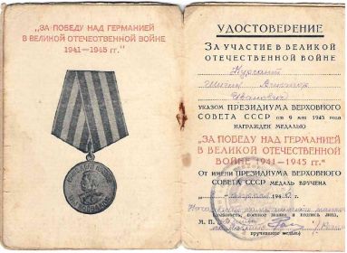 Медаль «За победу над Германией в Великой Отечественной войне 1941–1945 гг.»