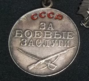 медаль за Боевые заслуги