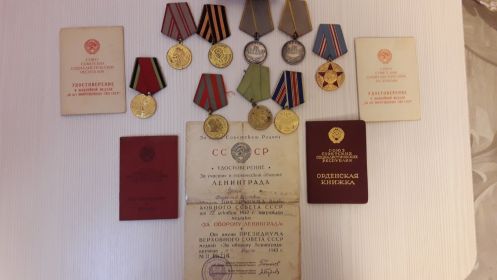 Медаль «За оборону Ленинграда», Медаль «За боевые заслуги», Медаль «За победу над Германией в Великой Отечественной войне 1941–1945 гг.», Орден Красной Звезды