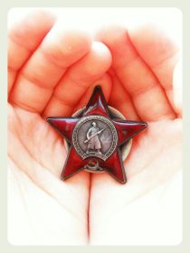 Медаль «За победу над Германией в Великой Отечественной войне 1941–1945 гг.», Орден Красной Звезды