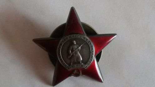 Награжден орденом "Красной Звезды"