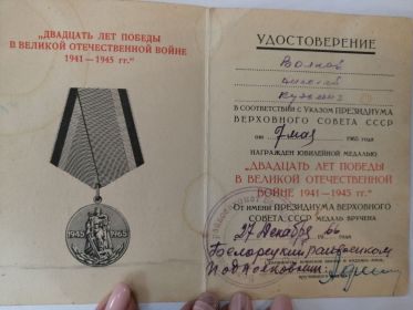 медаль 20 лет побены в Великой Отечественной войне