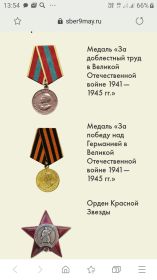 Орден Красной Звезды, медаль За победу над Германией  в Великой Отечественной войне,  медаль За доблестные труд в Великой отечественной войне