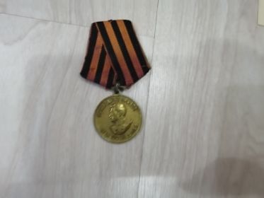 Медаль за Победу над Германией в Великой Отечественной Войне 1941-1945 гг.