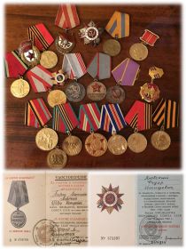 Орден Отечественной войны 1 степени, Орден Красного Знамени, Медаль за взятие Будапешта и др.