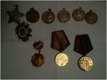 - Ордена славы II и III степени; - Орден Красной звезды; - Медаль за взятие Будапешта; - Медаль за отвагу; - Ордена Отечественной войны II и III степени; - Меда...