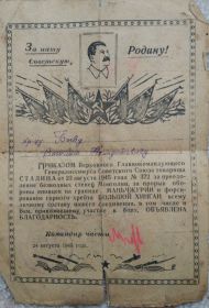 Благодарственное письмо от Сталина, медаль "За победу над Японией"
